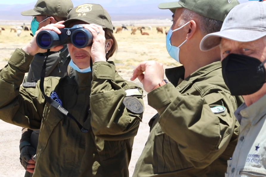 Inspeccionan puestos fronterizos y seguridad en Colchane