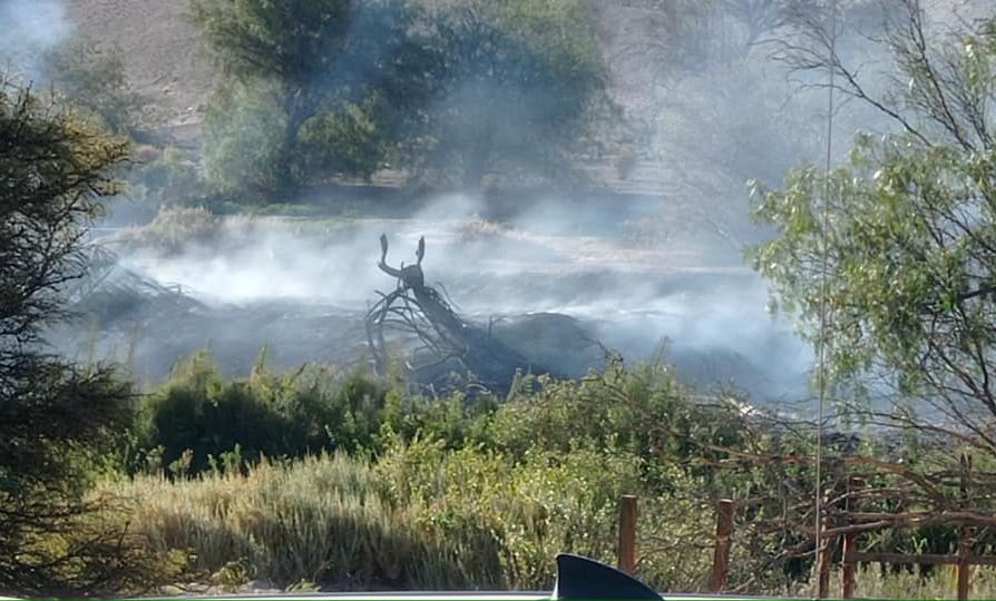 Delegada del Tamarugal gestiona apoyo a Bomberos en incendio en quebrada de Tiliviche