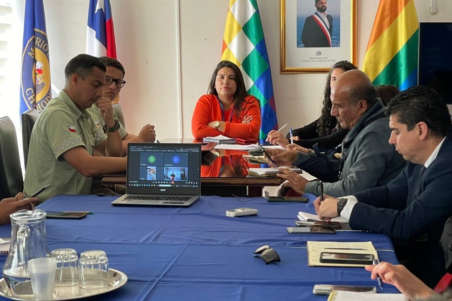 Delegada Presidencial Provincial del Tamarugal encabeza el Comité de Gestión del Riesgo de Desastres (COGRID) provincial.