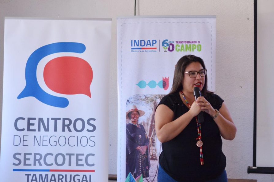 Delegada Camila Castillo asiste a nueva sesión de la Mesa de la Mujer Rural