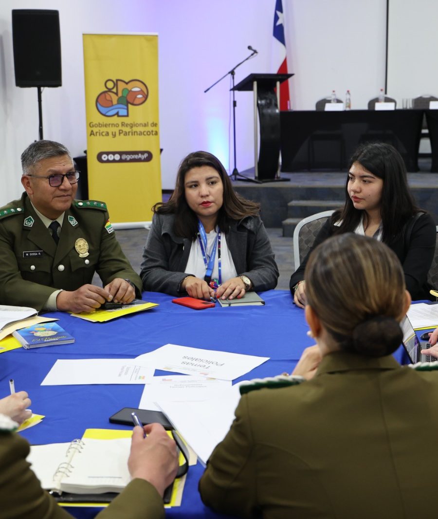 XV Reunión de Comité de Frontera e Integración Chile-Bolivia