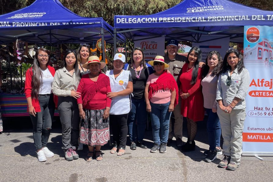 Gobierno en Terreno y Conmemoración del Día de la Mujer Indígena