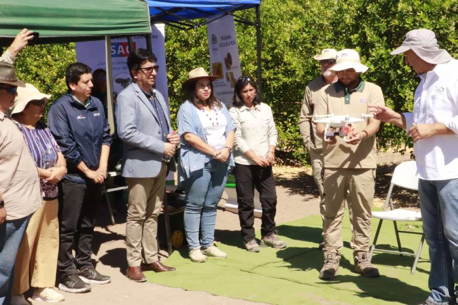 Innovación para el control de plagas: Con drones SAG libera ejemplares estériles de moscas de la fruta en oasis de Pica