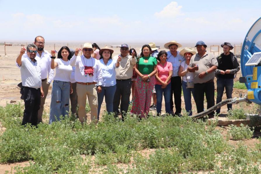 CONADI inauguró innovador sistema de riego en la Pampa del Tamarugal