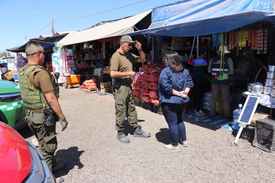 Dos detenidos por contrabando de cigarrillos tras fiscalización a comercio en Pozo Almonte