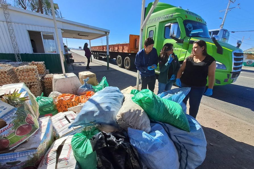 Decomisos de productos agropecuarios en Tarapacá aumenta en un 186%