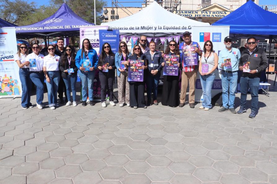 Lanzan Punto Morado en La Tirana para orientar sobre la violencia de género