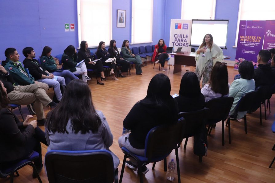 Capacitan sobre DD.HH. y violencia de género a funcionarios del Complejo Fronterizo Colchane