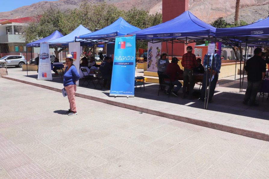 Vecinos de Camiña accedieron a diversos servicios públicos