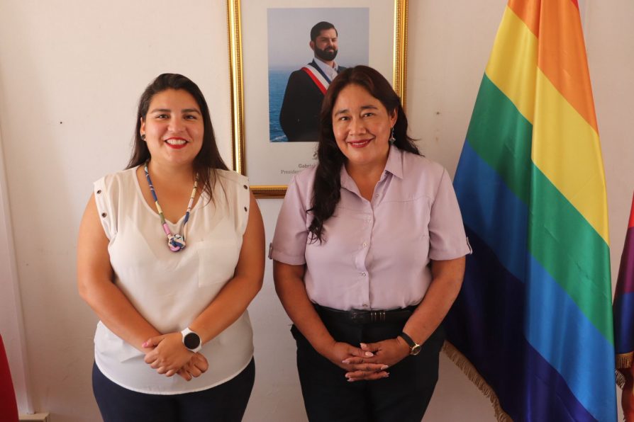 Alcaldesa de Camiña sobre el royalty: “Ha sido un aporte financiero muy importante para las comunas rurales”